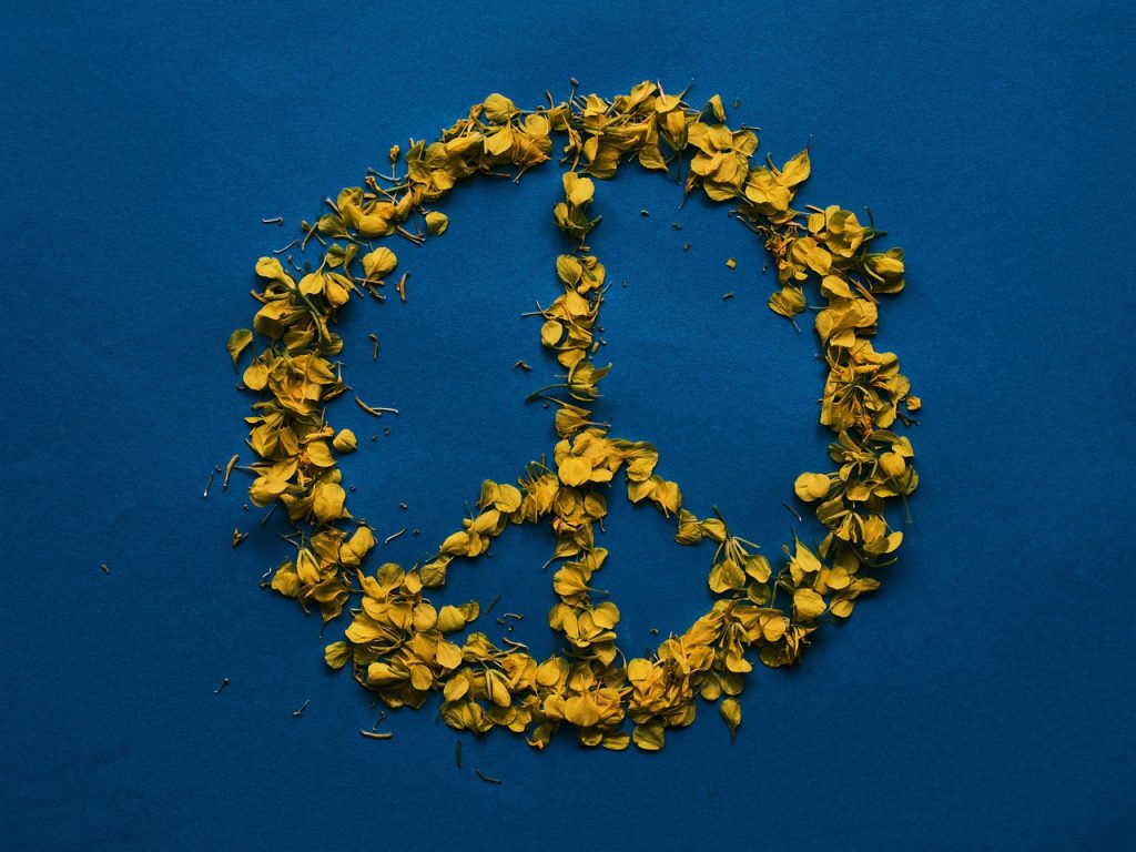 peace, symbol, nature, flower background, petals, ukraine, flag colors, yellow petals, flower wallpaper, freedom, independence, design, flower, beautiful flowers, daisy